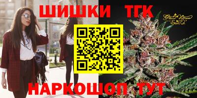 индика Мариинск