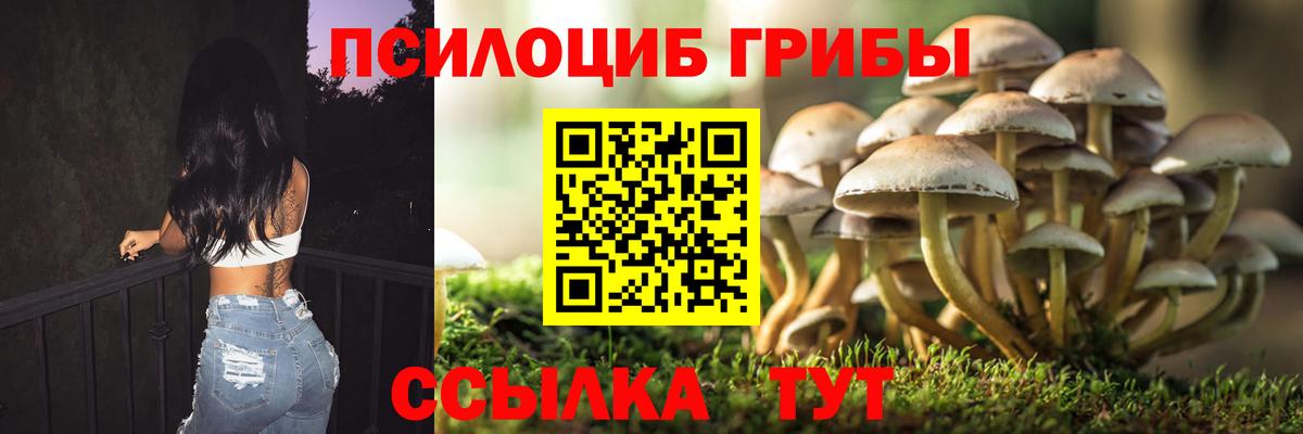 Псилоцибиновые грибы прущие грибы Екатеринбург